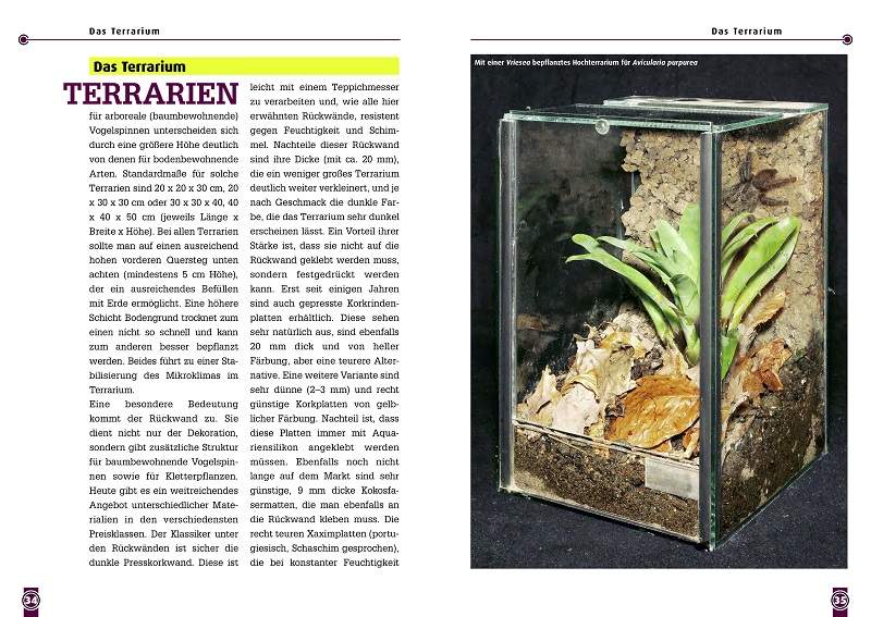 Preview: Die Martinique-Baumvogelspinne
